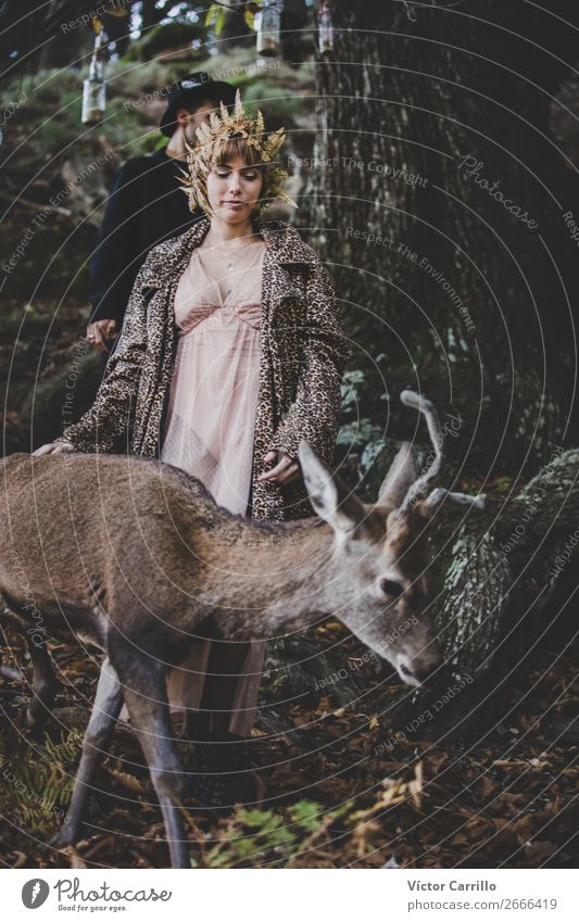 A girl and a deer in an Editorial Folky Session in the woods Lifestyle Elegant Style Design Beautiful Music Human being Feminine 2 Environment Nature Tree