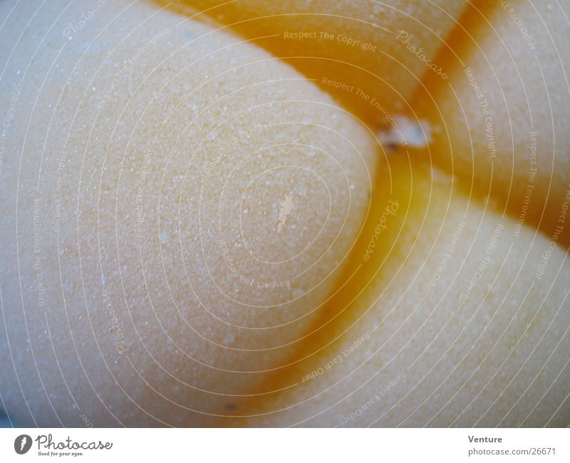 Paprika frozen Yellow Cold White Round Vegetable Freeze Hoar frost Macro (Extreme close-up) Close-up Wrinkles Detail Section of image Partially visible Pepper