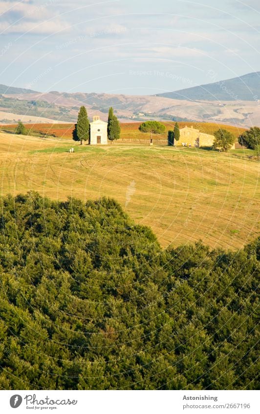 Chapel in the distance II Environment Nature Landscape Sky Clouds Horizon Summer Weather Plant Tree Grass Field Forest Hill Siena Tuscany Italy