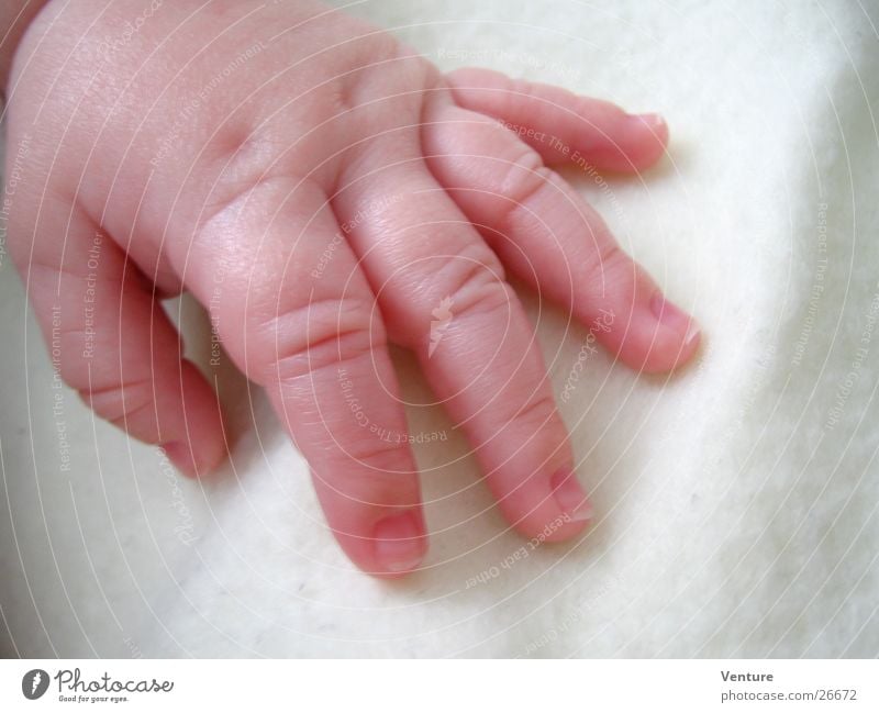 shake on it Fingers 5 Small Baby Touch Human being Skin Child Macro (Extreme close-up) Close-up Detail