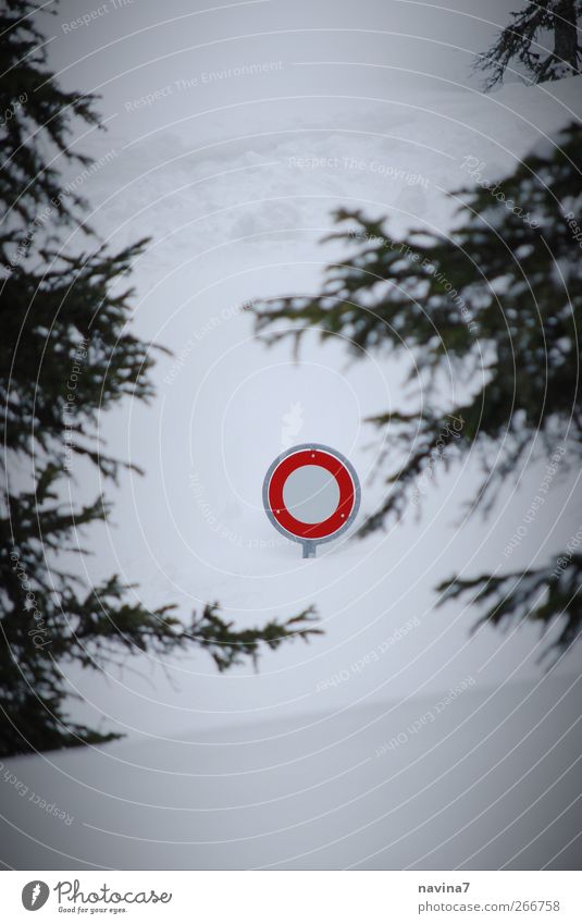 signpost Landscape Winter Snow Signs and labeling Road sign Red End Cold Enclosed Colour photo Exterior shot Deserted Copy Space bottom Day