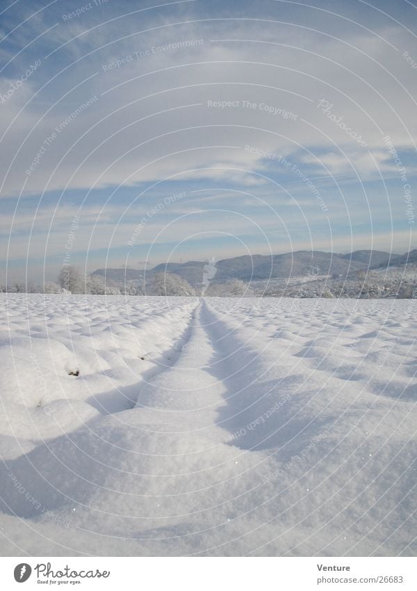 snow shelter Winter Clouds Field Cold Freeze Frozen December January February Tracks Vanishing point Loneliness Air Hill Sunrise Sky Ice Perspective