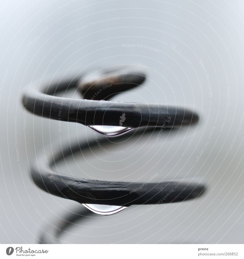 spiral Water Drops of water Rain Steel Gray Black Spiral Spring mechanism Metal Close-up Macro (Extreme close-up) Colour photo Exterior shot Deserted