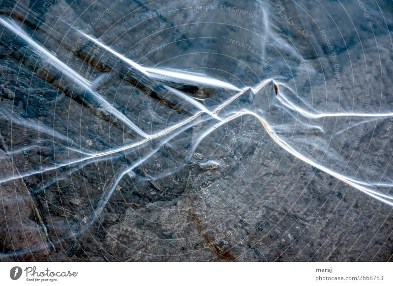 Strange, these mountain peaks Winter Ice Frost Exceptional Cold Natural Uneven Frozen Transparent Frozen surface Colour photo Subdued colour Exterior shot