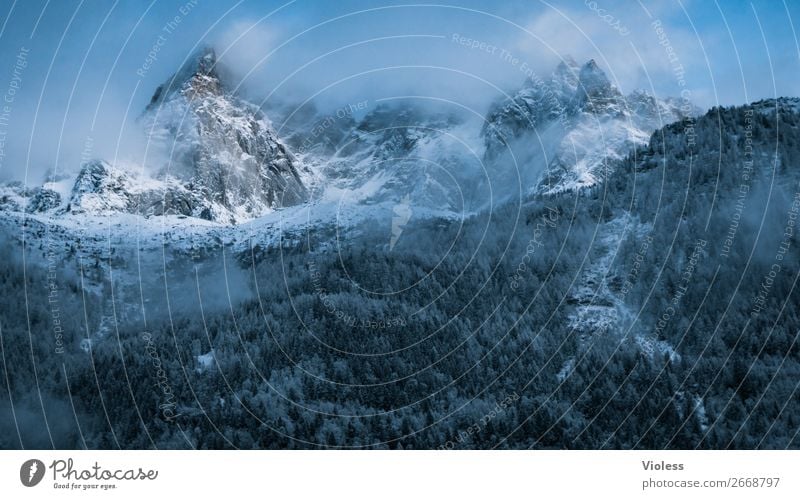 Chamonix Snow Mountain Clouds Alps Peak Cold France Mountain ridge Mountain range Swiss stone pine Colour photo Silhouette