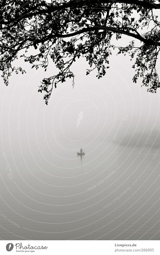 lonesome angler Human being 1 Nature Landscape Autumn Fog Plant Tree Gray Black White Misty atmosphere Black & white photo Exterior shot Day Lake Angler