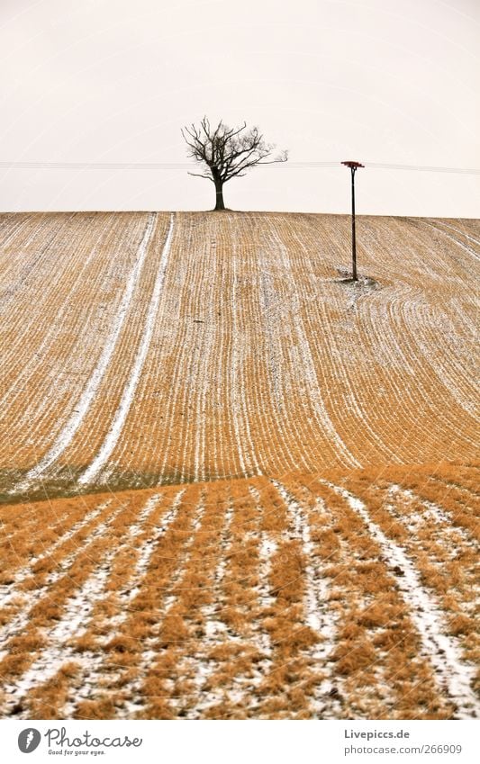 Krakow by the lake 3 Energy industry Environment Nature Landscape Sky Winter Weather Plant Tree Field Yellow Gray Colour photo Exterior shot Day