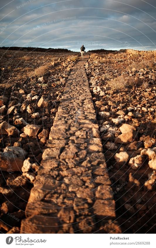 #AS# the long way Human being Masculine 1 Esthetic Lanes & trails Road marking Road junction Wayside Bend Groundbreaking Footpath Stony Fuerteventura Hiking