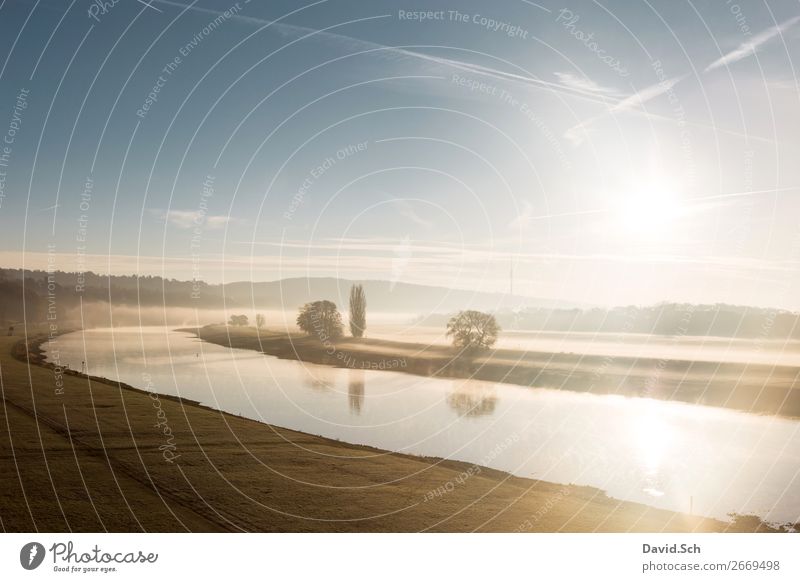 Foggy sunrise in the Elbe Valley in Dresden Environment Landscape Sky Sunrise Sunset Autumn Tree Grass Meadow River bank Manmade landscape Esthetic Beautiful