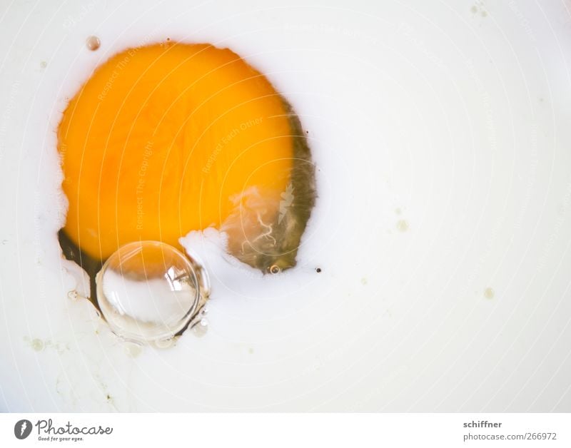 Rolling Egg Food Nutrition Yellow White Albumin Yolk Bubble Round Close-up Detail Fried egg sunny-side up