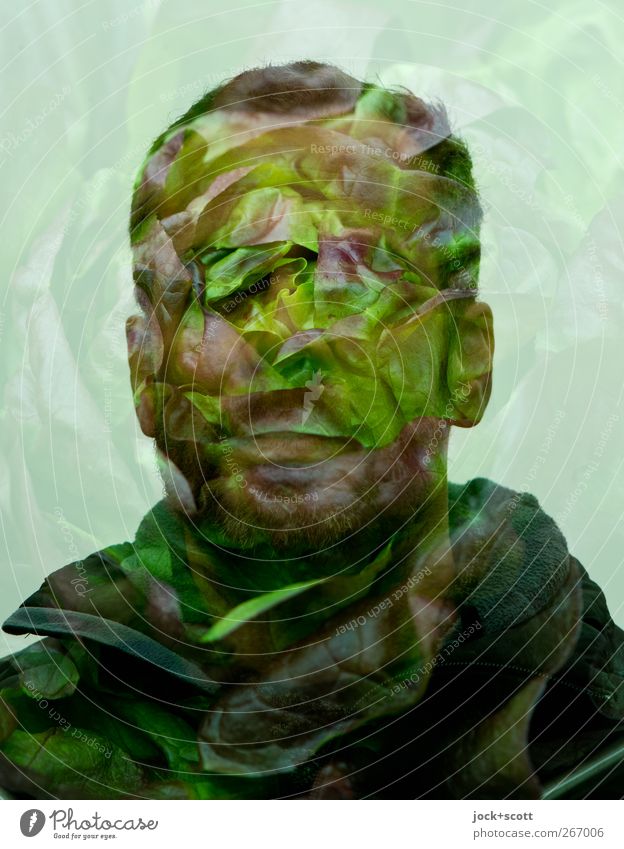 lettuce Lettuce Healthy Eating 30 - 45 years Smiling Fantastic Green Emotions Identity Whimsical Surrealism Change Double exposure Comic Reaction Metamorphosis