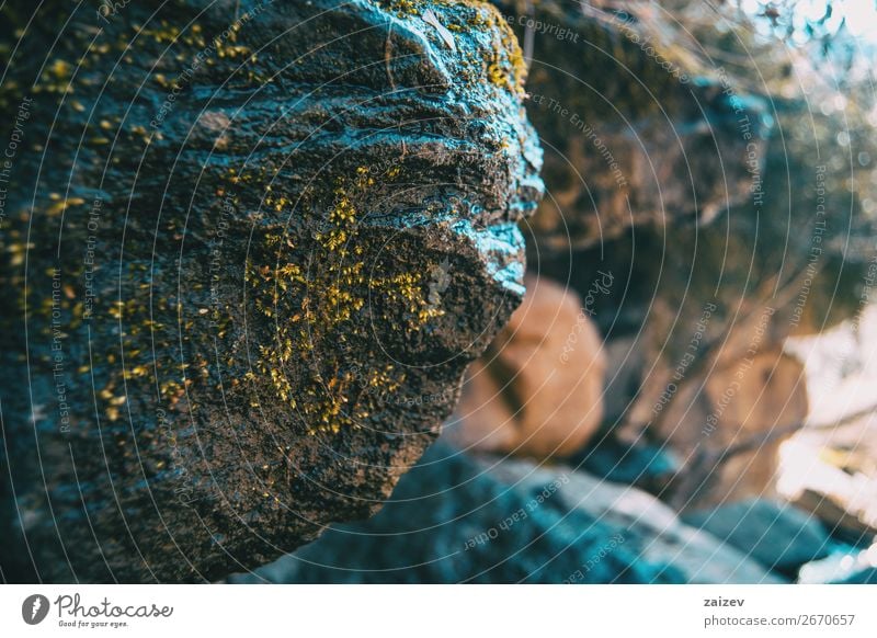 A big stone tilted with a bit of moss and more unfocused stones in the background Face Life Mountain Environment Nature Landscape Plant Moss Rock Stone Growth