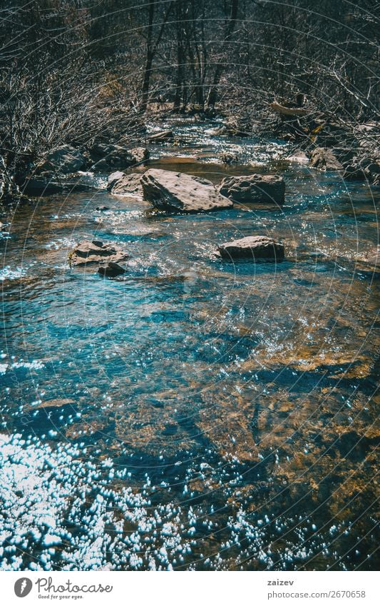 A river flowing with some big stones in it sorrounded by bare trees Beautiful Vacation & Travel Tourism Adventure Waves Winter Mountain Hiking Environment