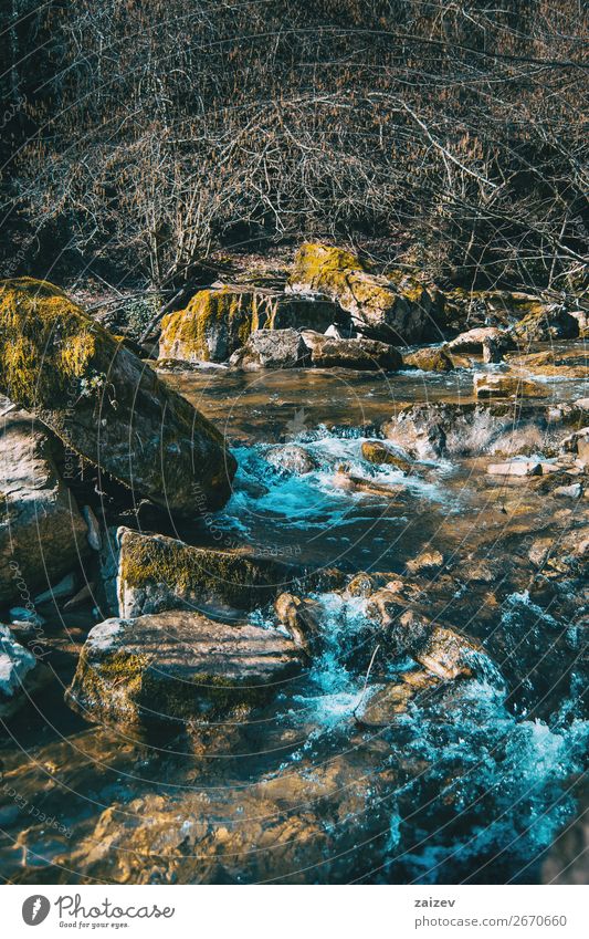 A wild river flowing through large rocks with moss Beautiful Vacation & Travel Tourism Adventure Waves Winter Mountain Hiking Environment Nature Landscape