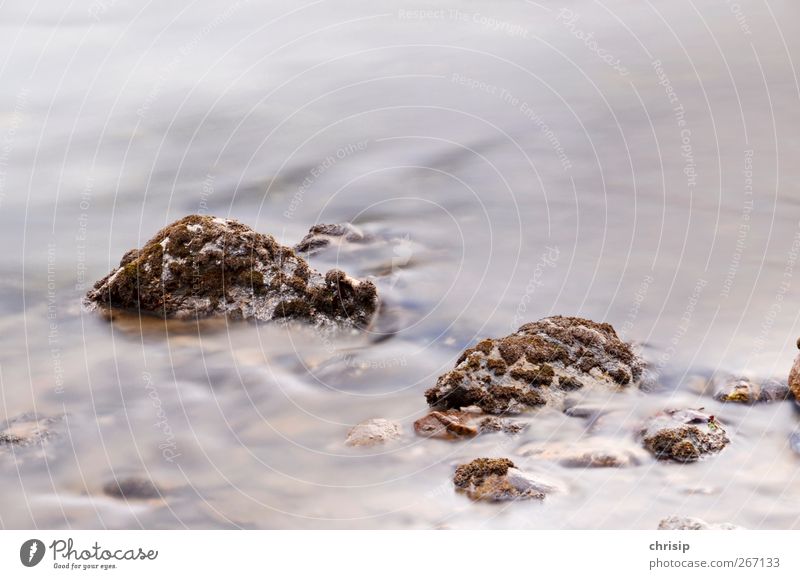 Stones in water mist Environment Nature Water Moss Waves River bank Brook Fluid Fresh Cold Refreshment Source Drinking water Natural Flow Colour photo