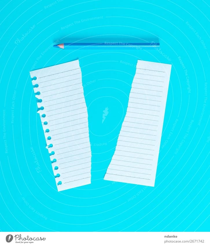 torn in half white blank sheet in line School Office Business Paper Piece of paper Pen Wood Write Blue White Idea plan background Blank Conceptual design copy