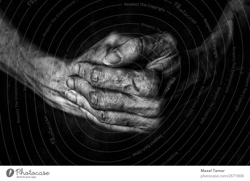 Woman's hands praying Beautiful Skin Human being Adults Arm Hand Fingers Old Dark Natural Strong Black Power Religion and faith action background Caucasian