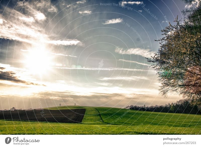 a wonderful day Environment Nature Landscape Plant Earth Sky Clouds Horizon Sun Sunrise Sunset Sunlight Spring Summer Weather Beautiful weather Fog Tree Meadow