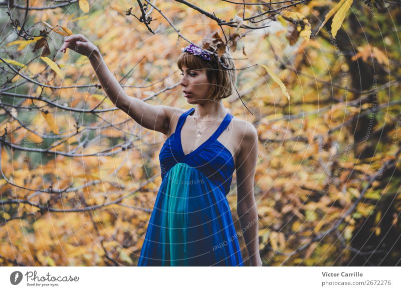 A Young Woman Standing in the Woods Lifestyle Elegant Human being Feminine Young man Youth (Young adults) Adults 1 13 - 18 years Environment Nature Plant