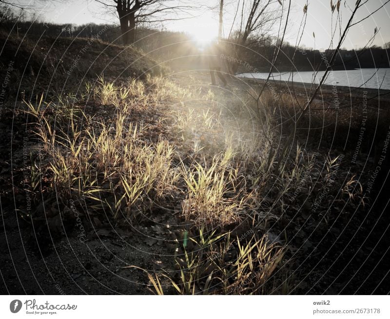 underexposed Woman Adults Legs Feet Environment Nature Landscape Plant Water Cloudless sky Horizon Sun Spring Beautiful weather Tree Grass Bushes