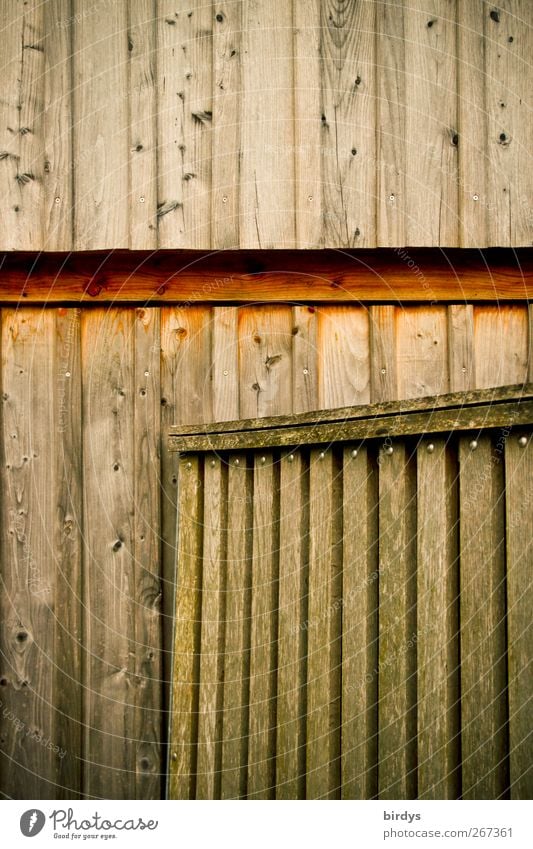 shack Hut Facade Door Authentic Natural Brown Wooden board Main gate Partially visible Raw Simple Colour photo Subdued colour Exterior shot Deserted