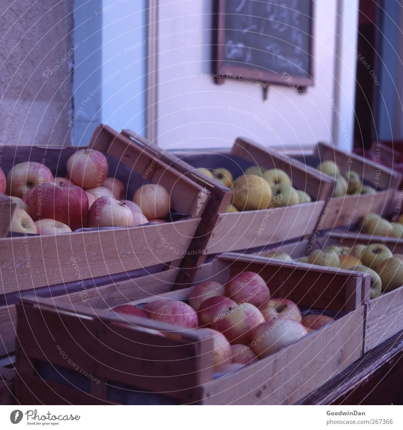 French tastes. Small Town Downtown Market stall Facade Dark Fresh Cheap Delicious Colour photo Exterior shot Deserted Day Light Deep depth of field Long shot