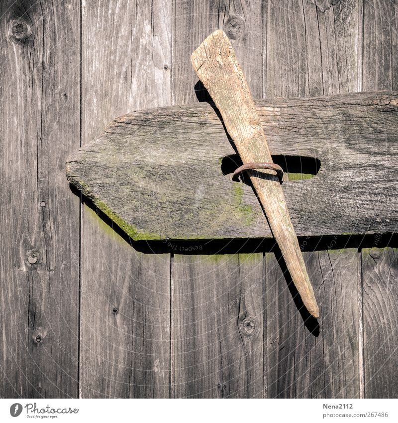 too... Wood Lock Old Gray Farm Barn Closed Locking mechanism Door Door lock Texture of wood Structures and shapes Line Wooden door Closure Colour photo Close-up