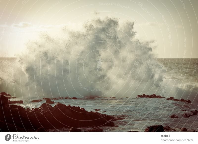 wave foam Water Drops of water Cloudless sky Sunrise Sunset Waves Coast Ocean Romp Wet Retro Wild Tenerife Atlantic Ocean White crest Surf Subdued colour