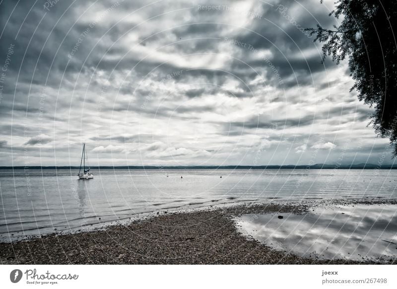 The boat Nature Water Sky Clouds Horizon Summer Autumn Bad weather Thunder and lightning Lakeside Yacht Sailboat Blue Gray Black White Calm Loneliness Idyll