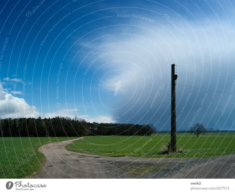 milestone Energy industry Electricity pylon Environment Nature Landscape Plant Sky Clouds Storm clouds Horizon Spring Climate Weather Beautiful weather Wind