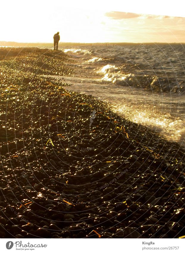 beach walk Pebble Beach Waves Sunset Back-light To go for a walk Loneliness Clouds Surf Hiking Stone Sand Evening Baltic Sea Water sea tank Human being