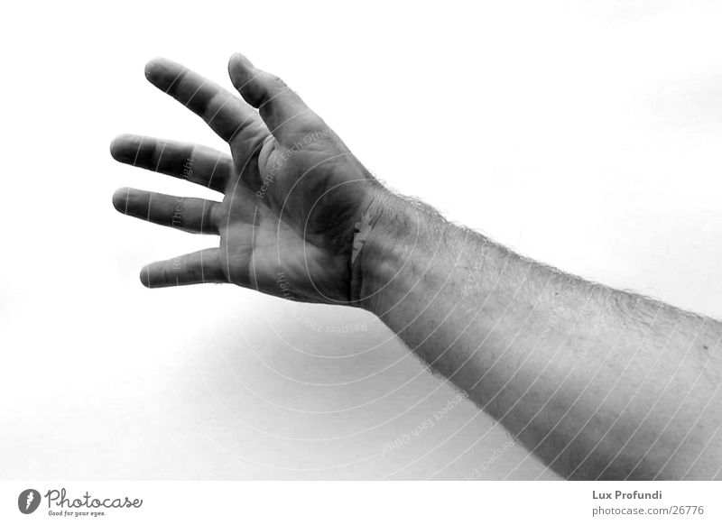 catch me if u can Man Hand Close-up Catch Arm Black & white photo Human being Detail