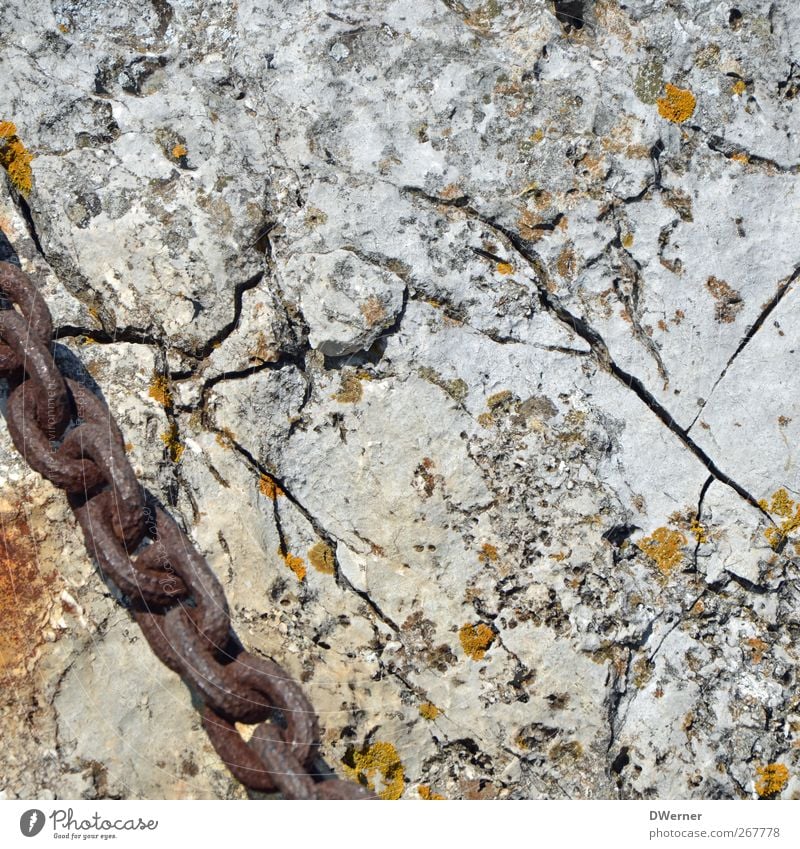 rock Environment Nature Moss Rock Mountain Stone Metal Line To dry up Dirty Gloomy Dry Gray Apocalyptic sentiment Serene Rescue Stagnating Transience Chain Rust