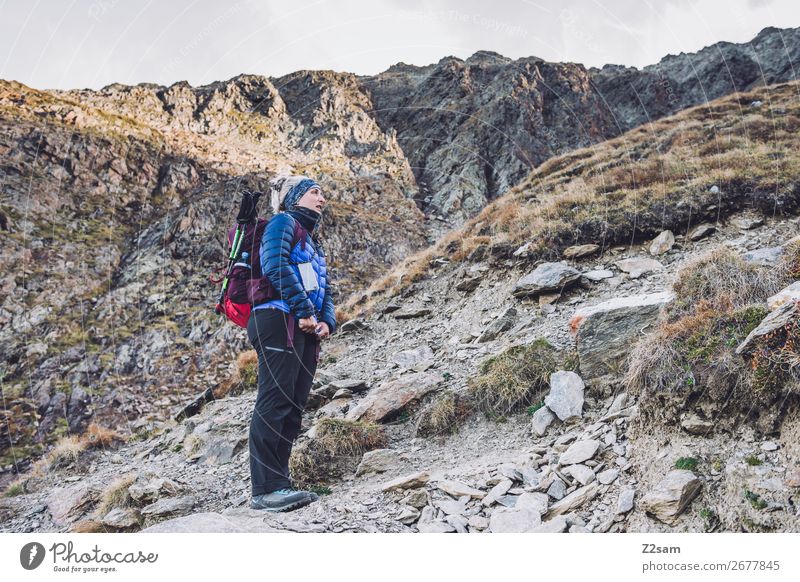 Young woman climbing the summit Leisure and hobbies Vacation & Travel Expedition Hiking Climbing Mountaineering Youth (Young adults) 18 - 30 years Adults Nature