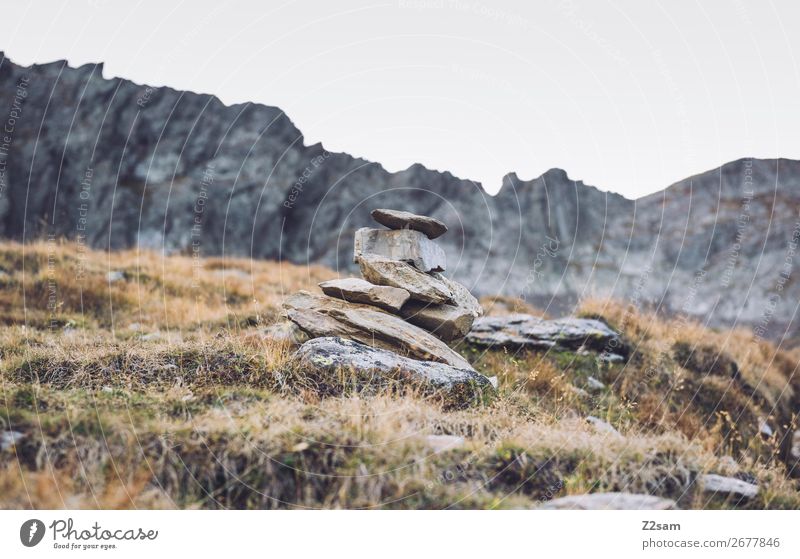 stoneman Hiking Climbing Mountaineering Nature Landscape Autumn Beautiful weather Grass Rock Alps Tall Sustainability Natural Idyll Calm Environment