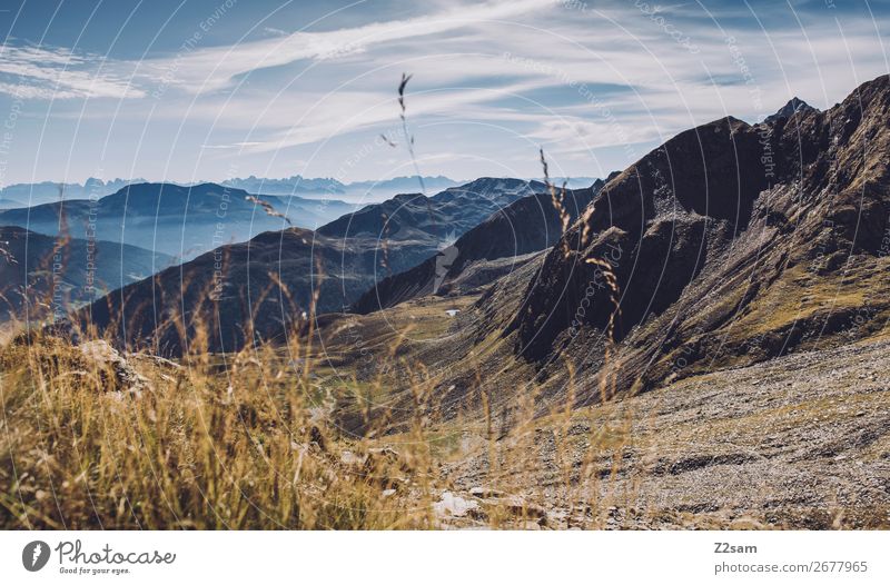 Panorama at the Hirzer in South Tyrol Hiking Climbing Mountaineering Nature Landscape Sky Clouds Beautiful weather Grass Alps Peak Gigantic Tall Natural Blue