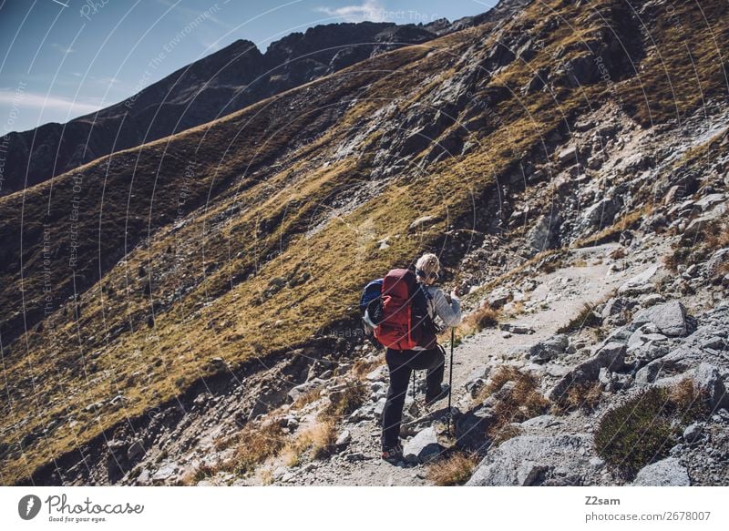 Young woman climbing | E5 crossing the Alps Vacation & Travel Adventure Expedition Mountain Hiking Climbing Mountaineering Youth (Young adults) Nature Landscape