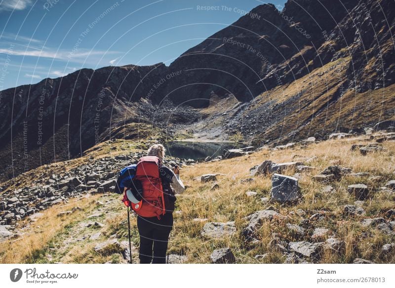 Young woman crossing the Alps | South Tyrol Vacation & Travel Freedom Mountain Hiking Climbing Mountaineering Youth (Young adults) Nature Landscape