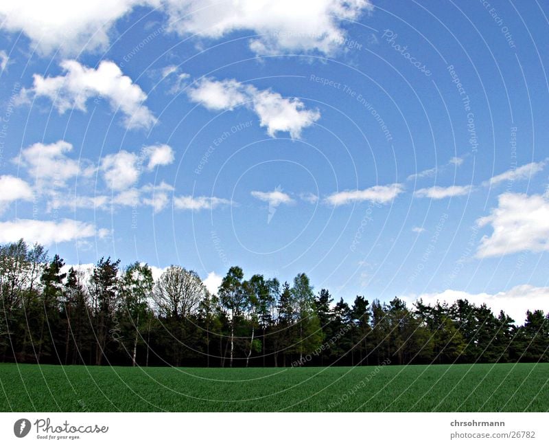 What a day Tree Clouds Blue sky green meadow beautiful day