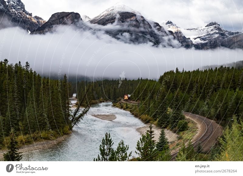 Wanderlust. Here he comes. Vacation & Travel Trip Environment Nature Landscape Fog Forest Mountain Rocky Mountains River Rail transport Railroad Engines