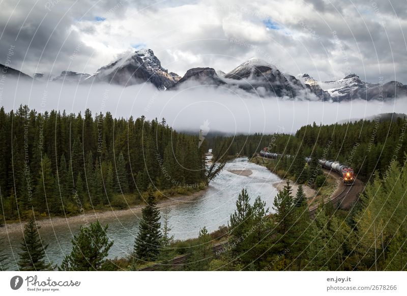 on the way Vacation & Travel Trip Adventure Far-off places Nature Landscape Sky Clouds Climate Fog Forest Mountain Rocky Mountains River Bow River