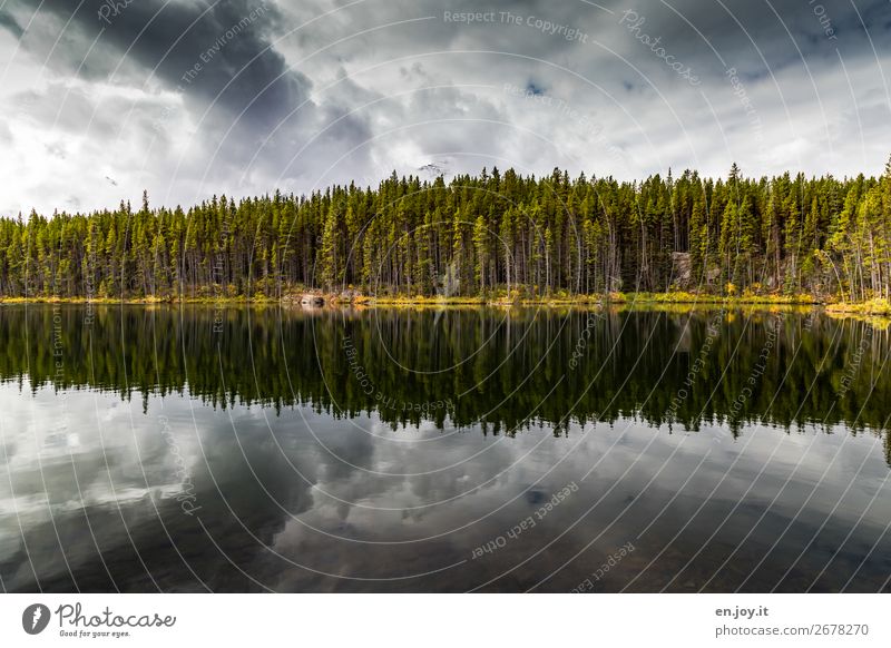 centred Vacation & Travel Trip Nature Landscape Plant Sky Clouds Storm clouds Autumn Forest Lakeside Climate Surrealism Symmetry Grief Dream Sadness Irritation