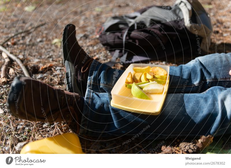 rest Food Fruit Apple Picnic Organic produce Slow food Forest Sit Fresh Healthy Break snack apple schnitzel Supplies Colour photo Exterior shot