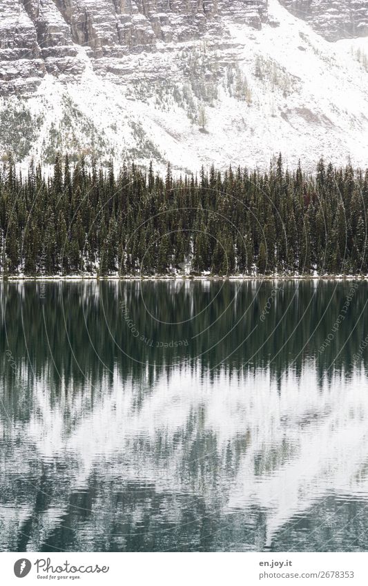 untouched Vacation & Travel Trip Winter Mountain Environment Nature Landscape Elements Forest Rock Rocky Mountains Lakeside Lake O'Hara Mountain lake Cold