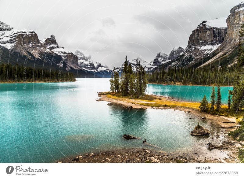 little wood Vacation & Travel Trip Far-off places Freedom Nature Landscape Sky Autumn Forest Rock Mountain Lakeside Island Spirit Island Lake Maligne Turquoise