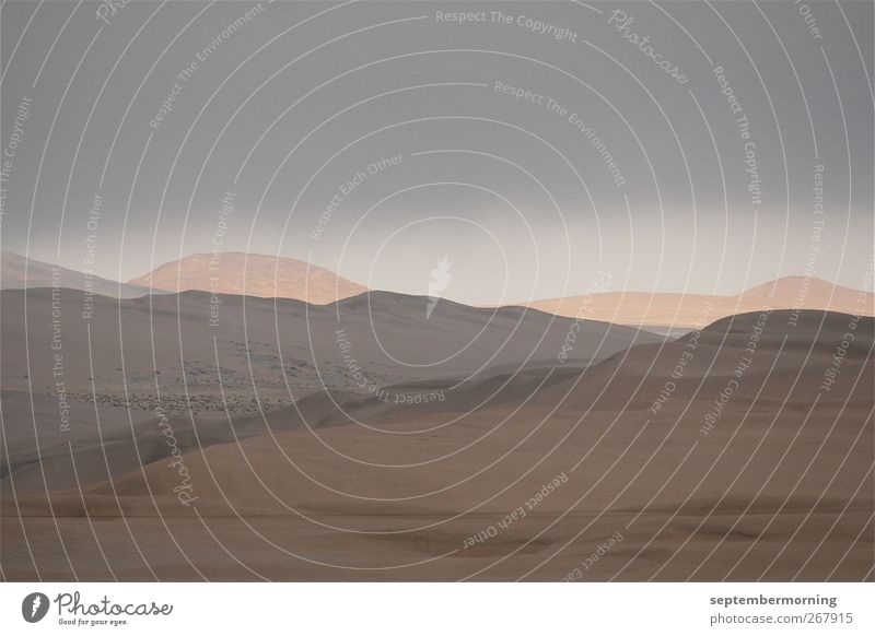 Namib Landscape Earth Sand Drought Hill Dry Soft Brown Far-off places Colour photo Subdued colour Exterior shot Deserted Twilight Deep depth of field Long shot