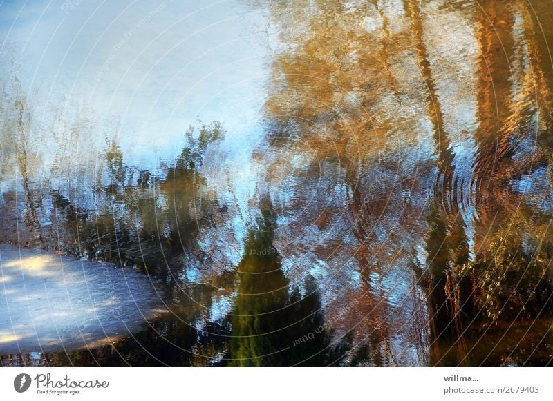 seasons Water Spring Autumn Winter Climate Pond Lake Cold Reflection Thaw Ice Autumnal Colour photo Exterior shot