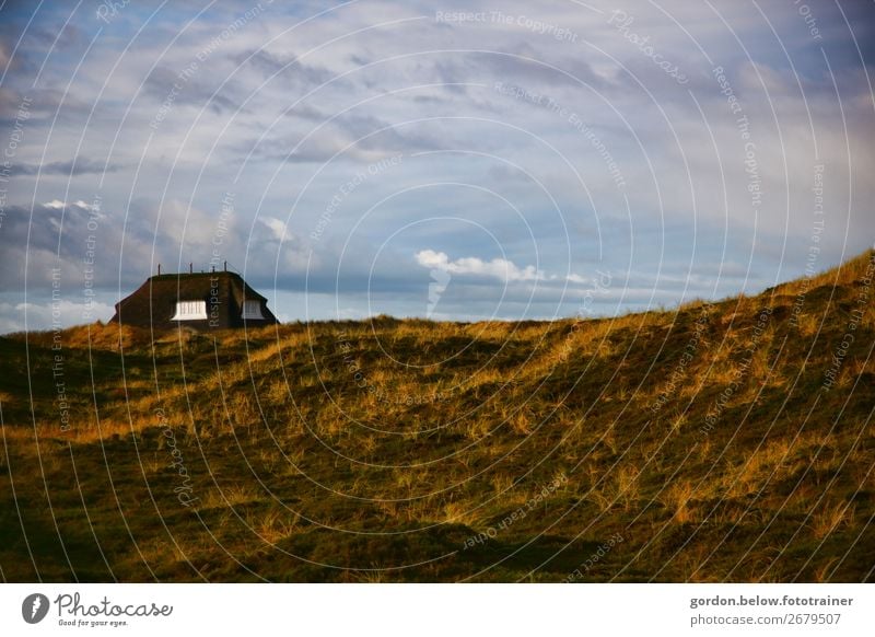 House by the sea Vacation & Travel Freedom House (Residential Structure) Nature Landscape Plant Sky Clouds Spring Grass Hill North Sea Dream house Window Roof