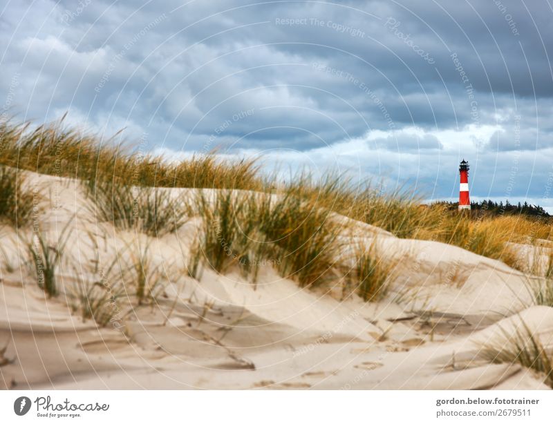 summer dreams Vacation & Travel Adventure Far-off places Summer Summer vacation Nature Plant Sky Clouds Wind Tree Grass Beach North Sea Deserted Lighthouse Sand