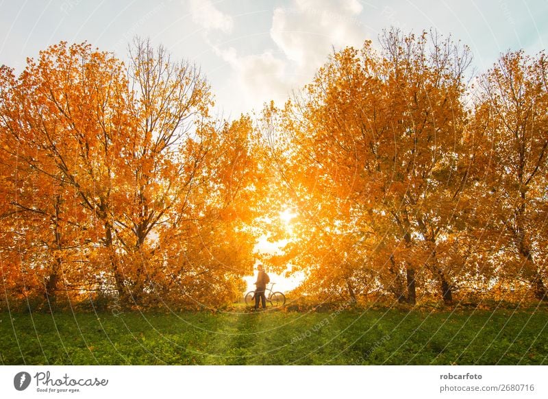 man with bike with trees in autumn Lifestyle Joy Adventure Mountain Sports Cycling Man Adults Nature Landscape Autumn Tree Forest Street Lanes & trails Fitness